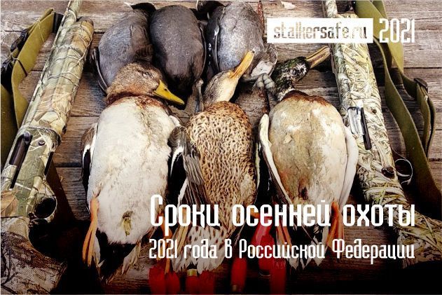Сроки осенней охоты 2021 года в Российской Федерации